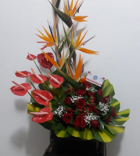 floristeria_latata (111)