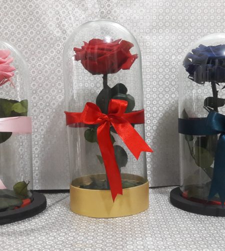 floristeria_latata (126)