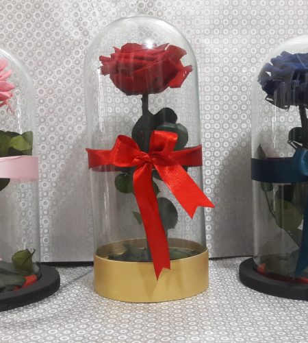 floristeria_latata (127)